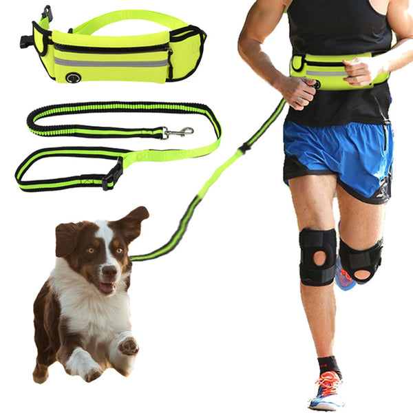 Pet Waist Bag Sports Traction Rope Reflective Waterproof - Ayeni Pets