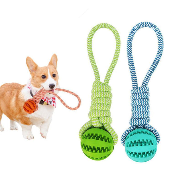 Durable Rubber Ball Chew Toy with Cotton Rope - Ayeni Pets